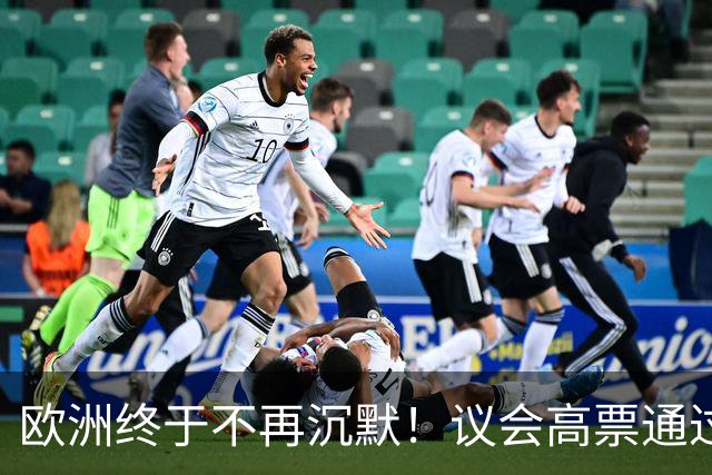 欧洲终于不再沉默！议会高票通过，决定对抗穆斯林兄弟会